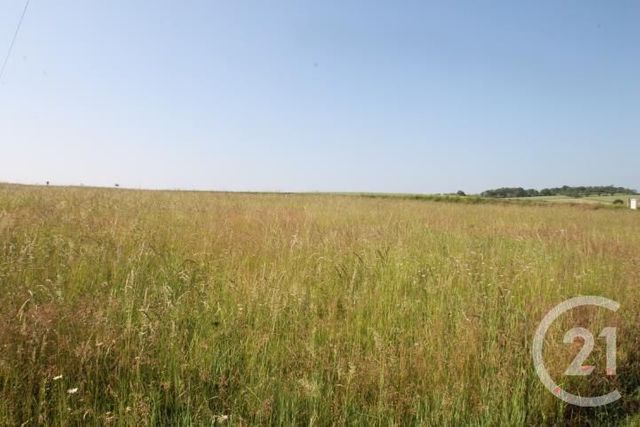 Afficher la photo en grand terrain à vendre - 1546.0 m2 - BEGUES - 03 - AUVERGNE - Century 21 Agence Girard