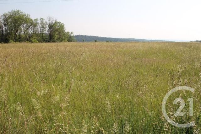 Afficher la photo en grand terrain à vendre - 1546.0 m2 - BEGUES - 03 - AUVERGNE - Century 21 Agence Girard