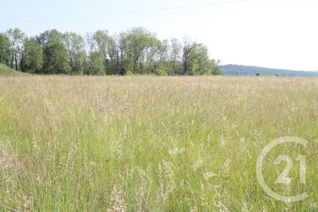 Afficher la photo en grand terrain à vendre - 1546.0 m2 - BEGUES - 03 - AUVERGNE - Century 21 Agence Girard