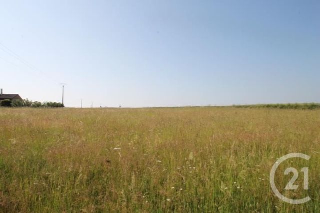 Afficher la photo en grand terrain à vendre - 1546.0 m2 - BEGUES - 03 - AUVERGNE - Century 21 Agence Girard