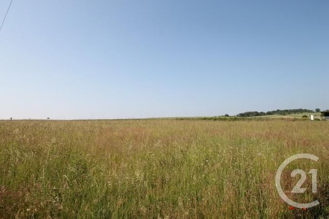 Afficher la photo en grand terrain à vendre - 1546.0 m2 - BEGUES - 03 - AUVERGNE - Century 21 Agence Girard