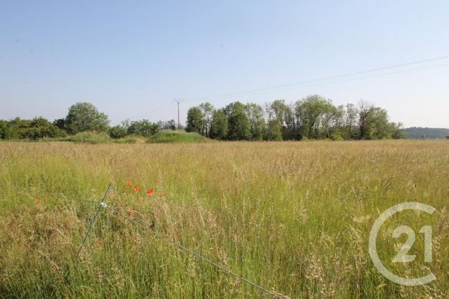 Afficher la photo en grand terrain à vendre - 1546.0 m2 - BEGUES - 03 - AUVERGNE - Century 21 Agence Girard