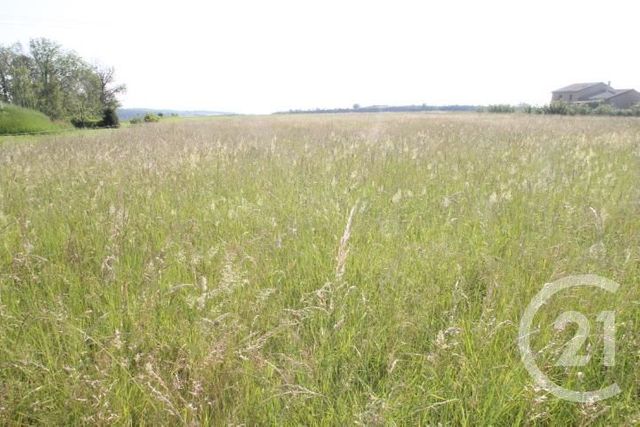 Afficher la photo en grand terrain à vendre - 1546.0 m2 - BEGUES - 03 - AUVERGNE - Century 21 Agence Girard