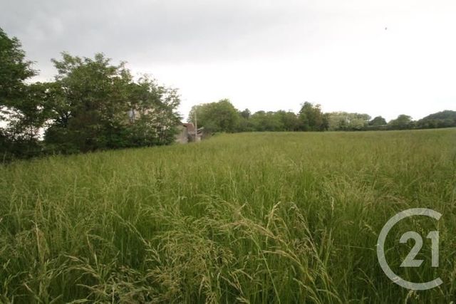 terrain à vendre - 4785.0 m2 - CHAPTUZAT - 63 - AUVERGNE - Century 21 Agence Girard