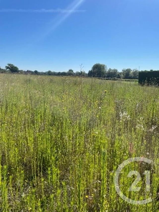 terrain à vendre - 3170.0 m2 - CHEZELLE - 03 - AUVERGNE - Century 21 Agence Girard
